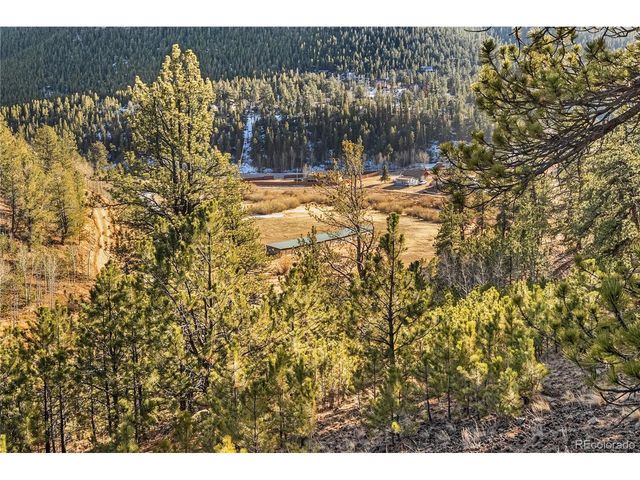106 Elk Dr, Bailey, CO 80421