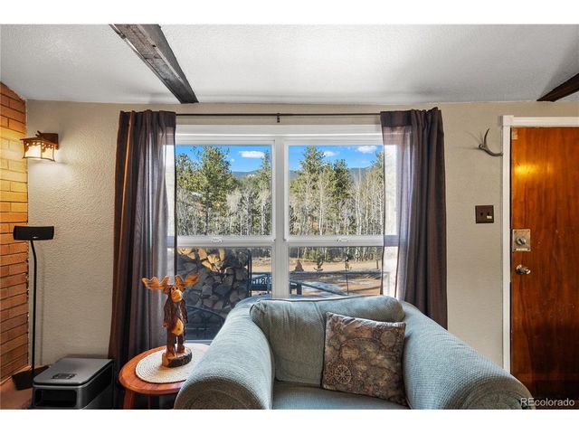 106 Elk Dr, Bailey, CO 80421