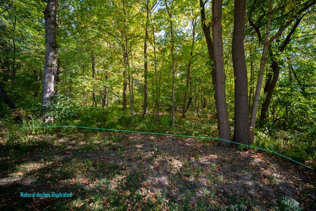 Lot A Picton & Bloomingdale Rd Road, Bloomingdale, IL 60108