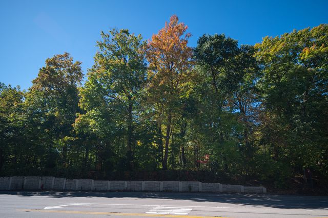 Lot A Picton & Bloomingdale Rd Road, Bloomingdale, IL 60108