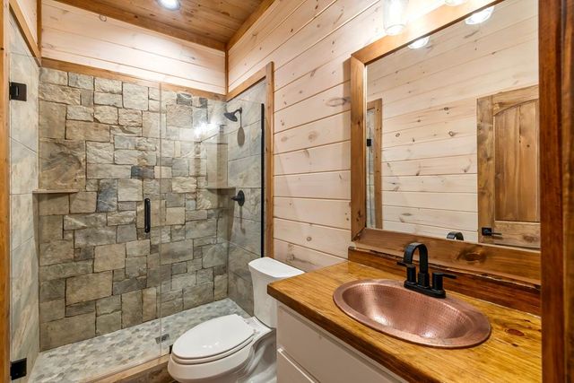470 Skylight Drive, Blue Ridge, GA 30513