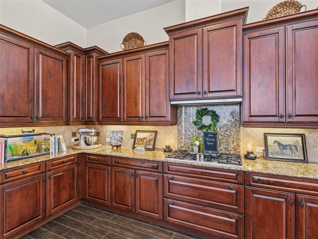 6121 AVOCETRIDGE DRIVE, Lithia, FL 33547