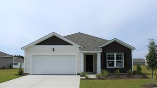 206 Red Buckeye Dr., Conway, SC 29527