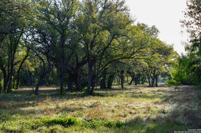 TBD Pr 233, Hondo, TX 78861