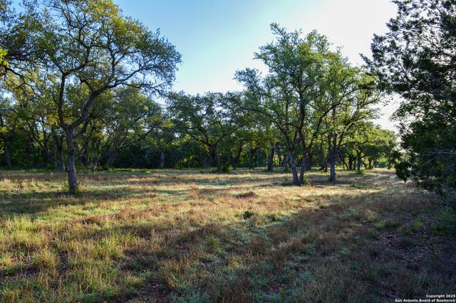 TBD Pr 233, Hondo, TX 78861