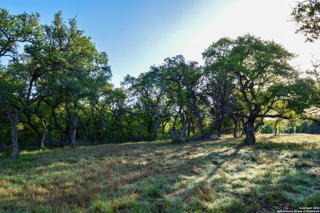 TBD Pr 233, Hondo, TX 78861