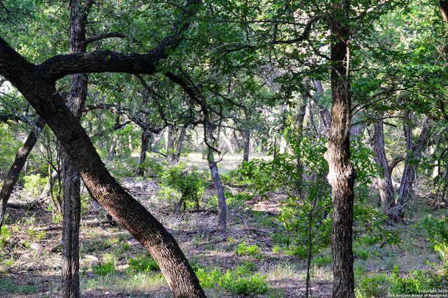 TBD Pr 233, Hondo, TX 78861