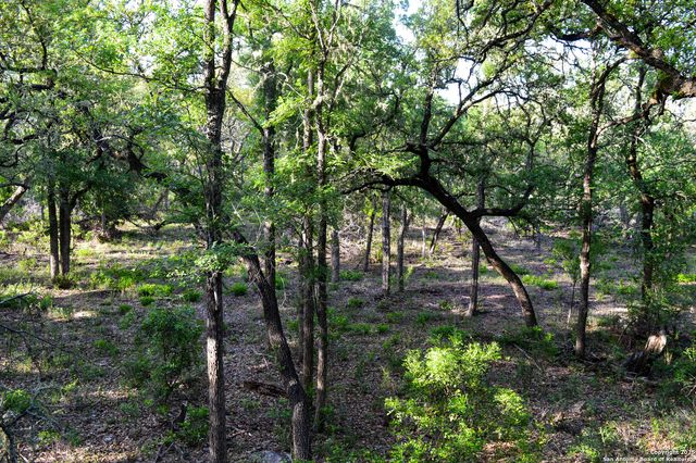 TBD Pr 233, Hondo, TX 78861