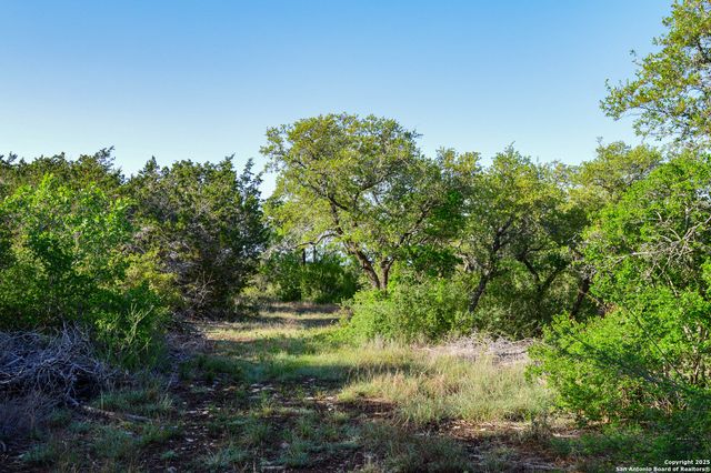 TBD Pr 233, Hondo, TX 78861