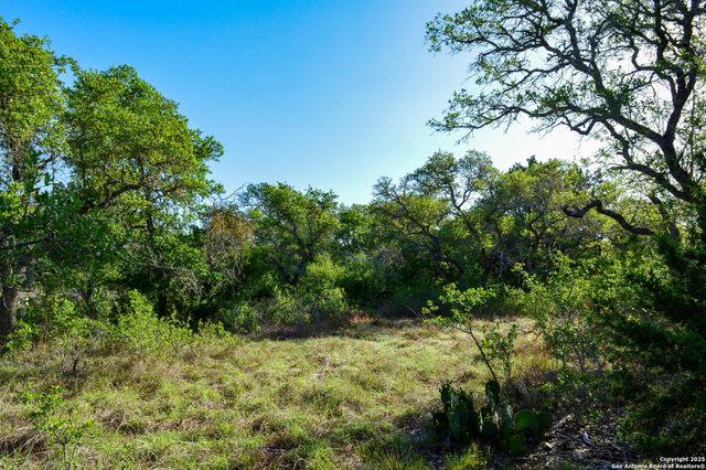 TBD Pr 233, Hondo, TX 78861