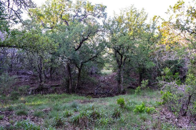 TBD Pr 233, Hondo, TX 78861