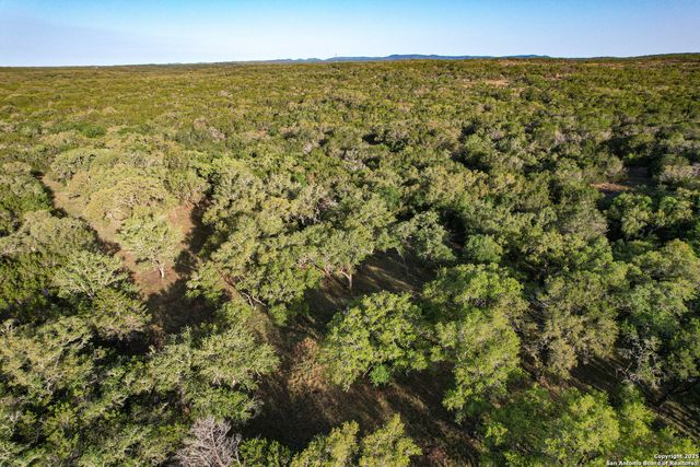 TBD Pr 233, Hondo, TX 78861