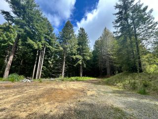 000 May Road, Elk River, CA 95503