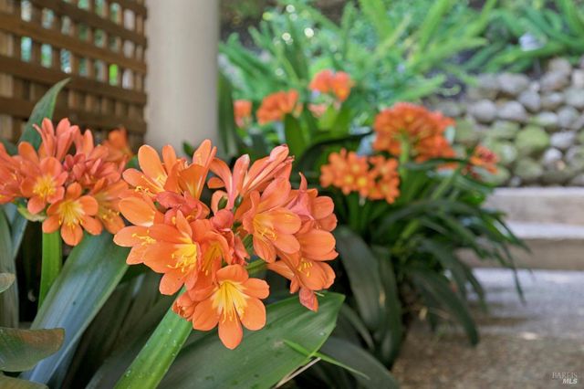 55 Upper North Ter, Tiburon, CA 94920