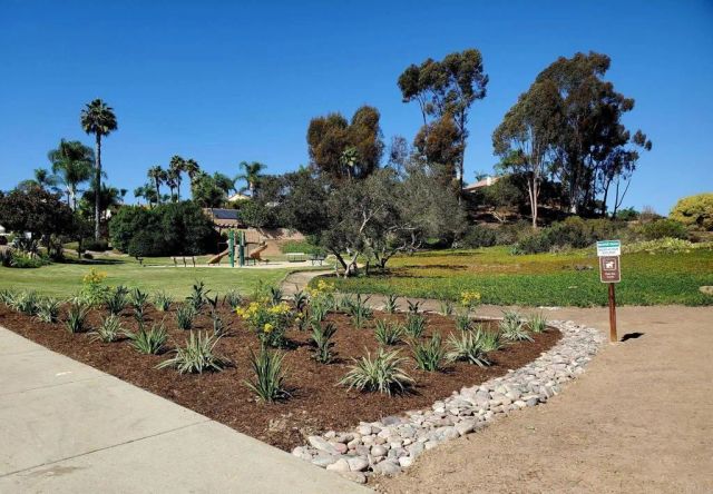 2929 Via Ipanema, Carlsbad, CA 92009