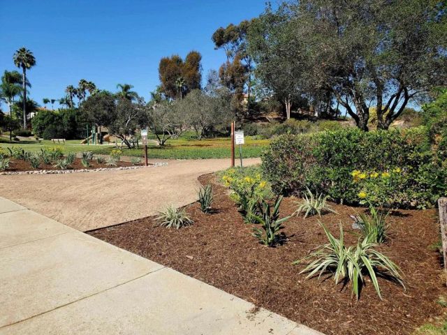 2929 Via Ipanema, Carlsbad, CA 92009