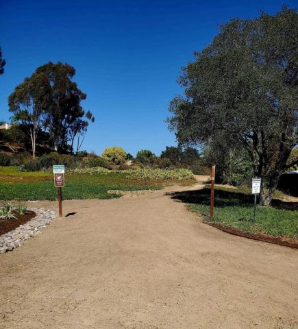 2929 Via Ipanema, Carlsbad, CA 92009
