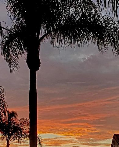 2929 Via Ipanema, Carlsbad, CA 92009