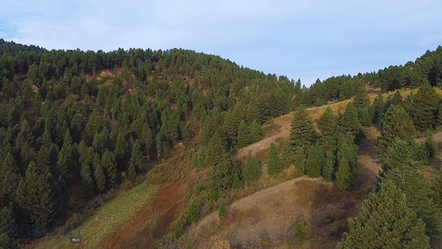 000 Chestnut Road, Bozeman, MT 59715