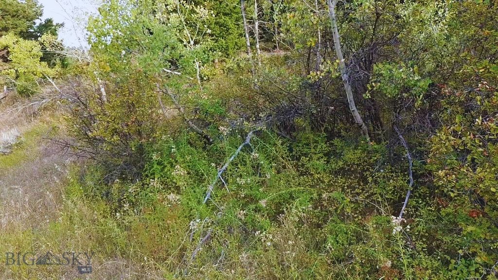 000 Chestnut Road, Bozeman, MT 59715 photo 10