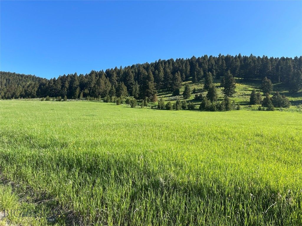 000 Chestnut Road, Bozeman, MT 59715 photo 2