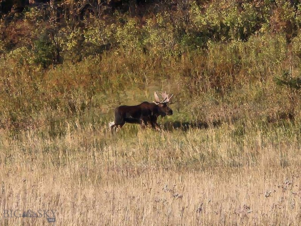 000 Chestnut Road, Bozeman, MT 59715 photo 33