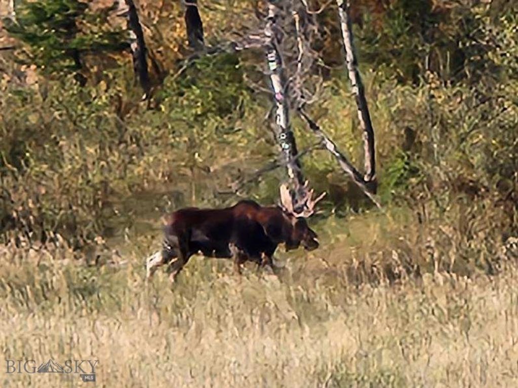 000 Chestnut Road, Bozeman, MT 59715 photo 37