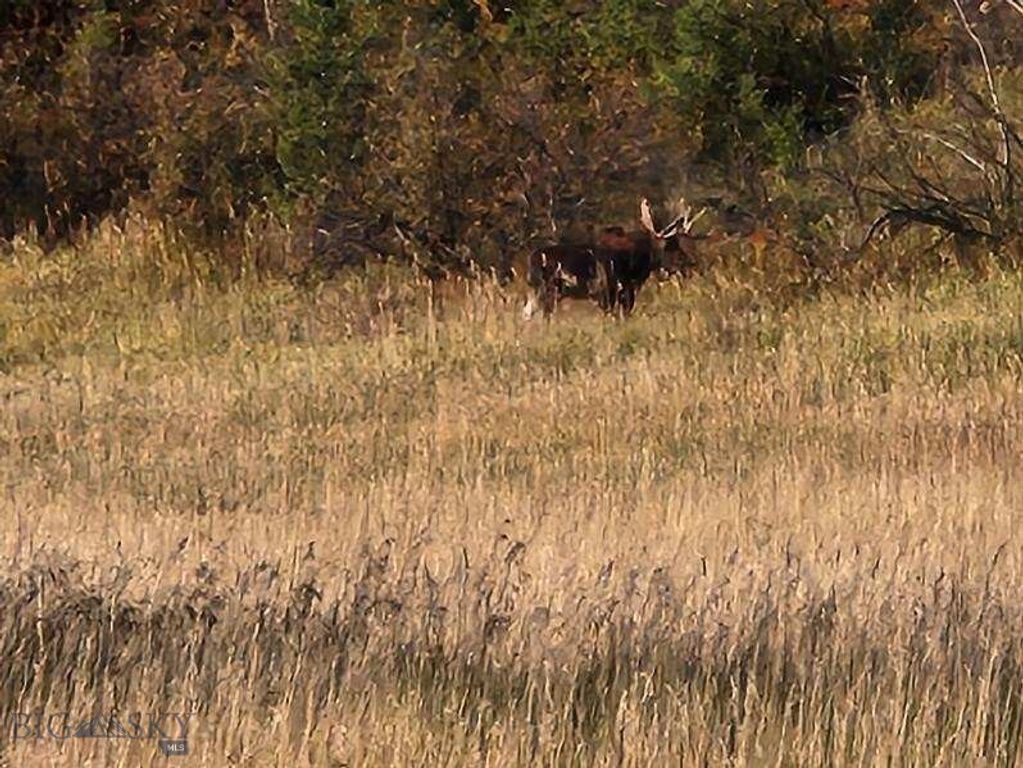 000 Chestnut Road, Bozeman, MT 59715 photo 39