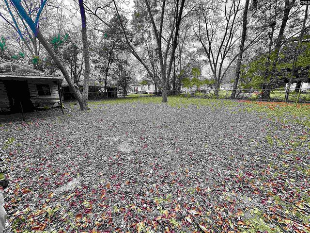 1069 Chestnut Street, Orangeburg, SC 29115