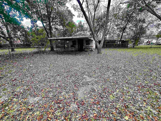 1069 Chestnut Street, Orangeburg, SC 29115