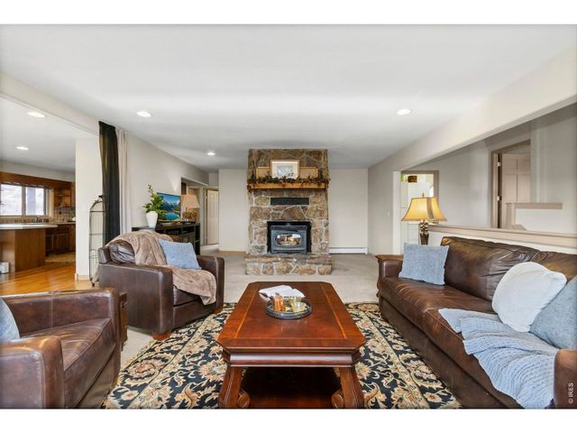 90 Mount Axtell Dr, Livermore, CO 80536