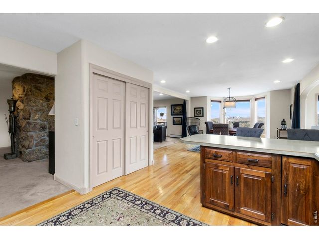 90 Mount Axtell Dr, Livermore, CO 80536
