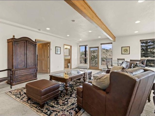 90 Mount Axtell Dr, Livermore, CO 80536