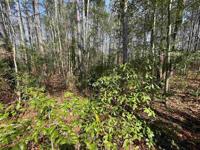 1243 Hwy 9, Loris, SC 29569