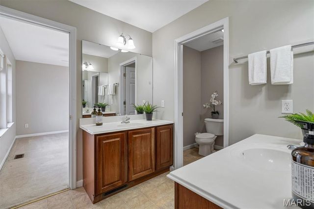 317 Lake Side View Lane, Cottleville, MO 63376