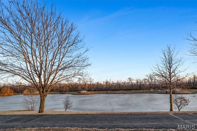 317 Lake Side View Lane, Cottleville, MO 63376