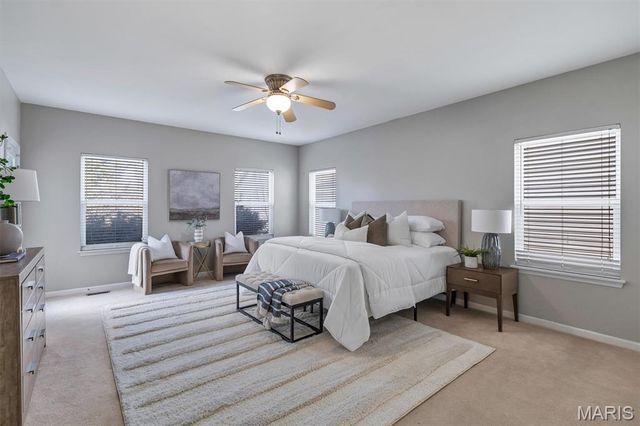 317 Lake Side View Lane, Cottleville, MO 63376