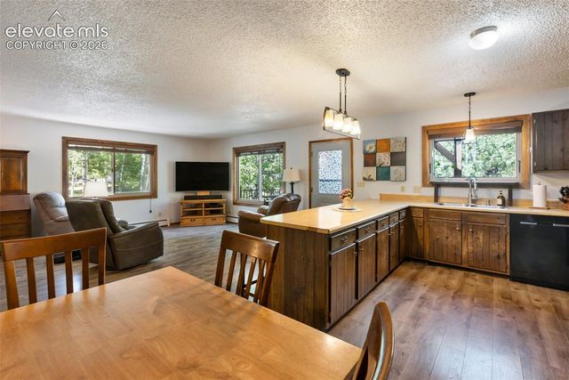 835 E Northwoods Drive, Woodland Park, CO 80863