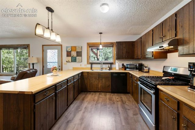 835 E Northwoods Drive, Woodland Park, CO 80863