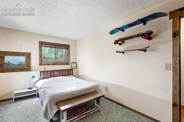 835 E Northwoods Drive, Woodland Park, CO 80863