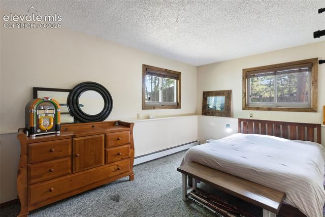 835 E Northwoods Drive, Woodland Park, CO 80863
