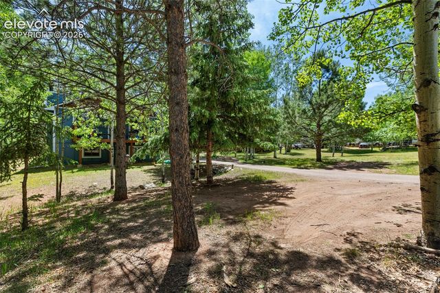835 E Northwoods Drive, Woodland Park, CO 80863