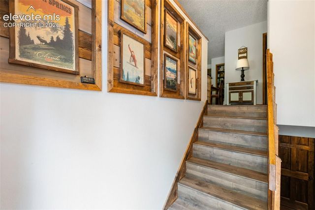 835 E Northwoods Drive, Woodland Park, CO 80863