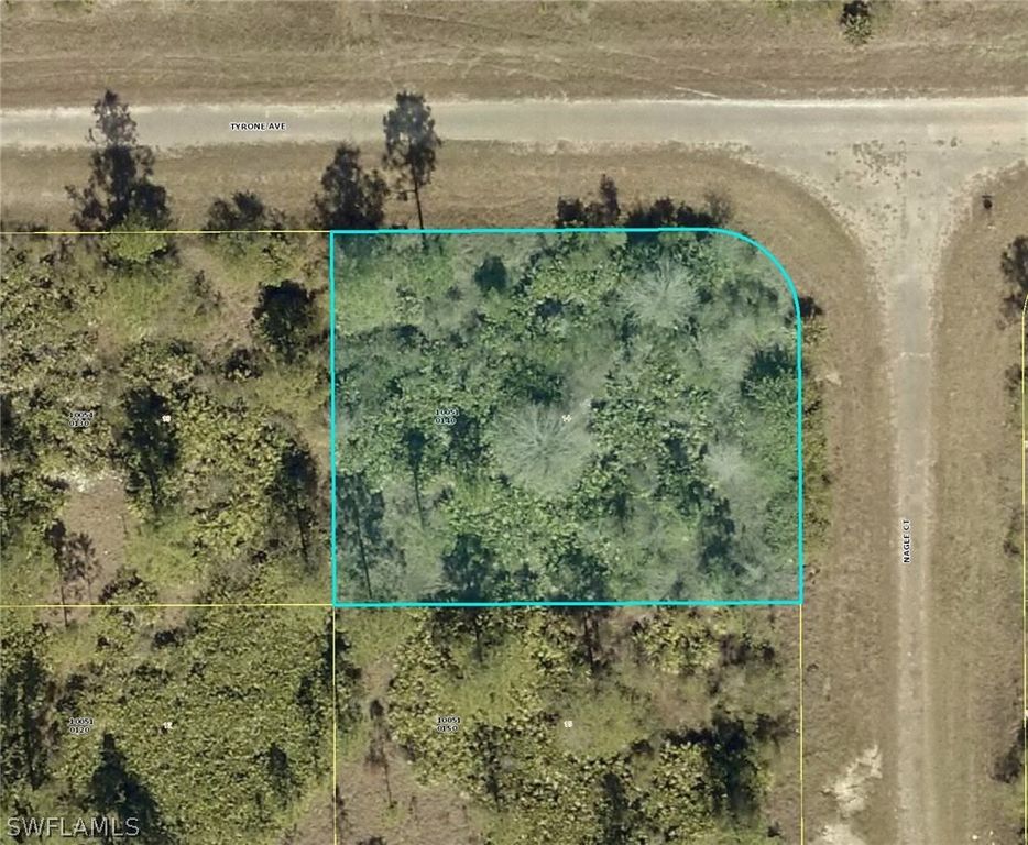 315 Nagle CT, Lehigh Acres, FL 33972