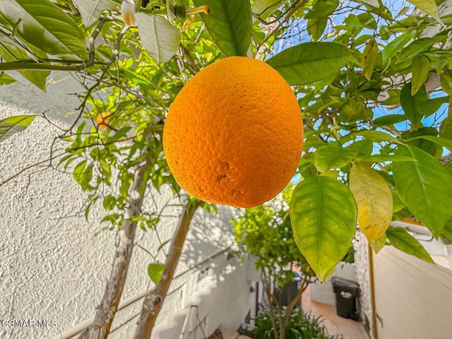 325 Cherry Hills Court, Newbury Park, CA 91320