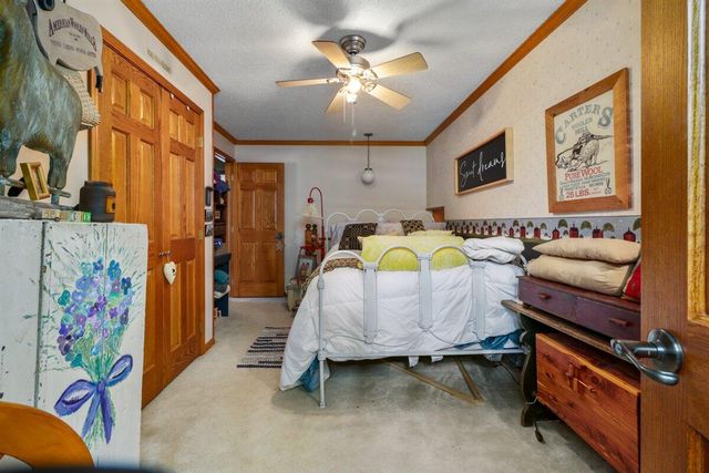 12182 State Highway Ee, Mountain Grove, MO 65711