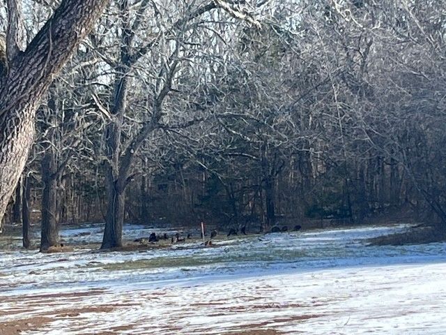 13841 Cainsville Rd, Lebanon, TN 37090