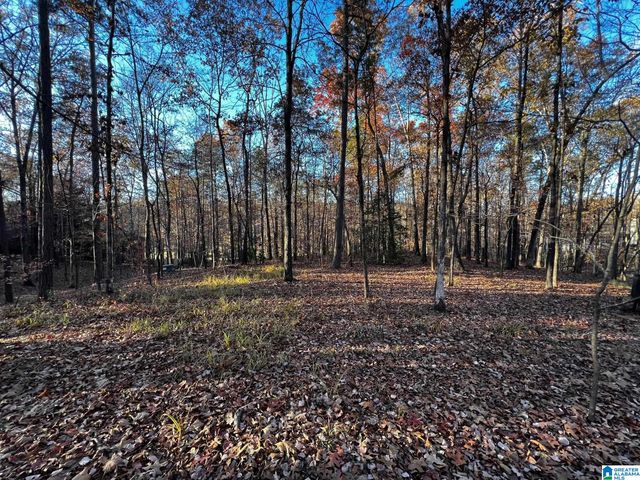 215 CARNOUSTIE, Birmingham, AL 35242