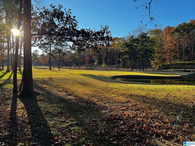 215 CARNOUSTIE, Birmingham, AL 35242