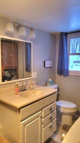 10855 Woodbushe Drive, Lowell, MI 49331